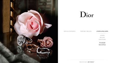 seguimiento dior|DIOR.